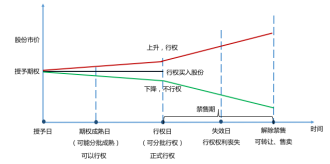 企业期权激励案例