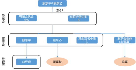优化后的公司治理结构图